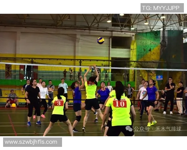 广州排球队的速度之谜：排球巨献背后的秘密与激情